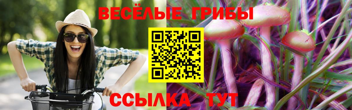 Бирск  Галлюциногенные грибы Psilocybine cubensis  Вход с VPN 